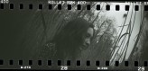 jonasz_thies                             Lomo Sprocket Rocket

mod: Klaudia
skan: ajgle.maxmodels.pl            