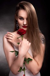 misiaczkowy                             red rose            