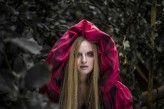 the__ent In The Land Of Fairytales: Red Riding Hood
Fot.: Magda Tramer / Studio Indygo