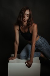 dzo_gallery