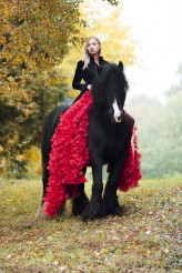 FruityShineBlog modelka: Karolina Mazurkiewicz
horse: Drago - Stajnia Ardena
Dress: Ewa Jobko - Costume Designer
make up: Magda Liliana Molska Make Up
Baśniowy Plener z Końmi III & Anna Sychowicz :: fotografia