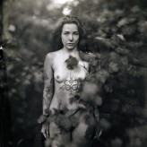 majekp Collodion