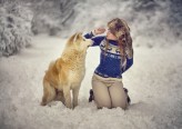 acar Emilia i Akita 秋田犬 w zimowej scenerii
