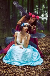 calipso81 Sen nocy letniej