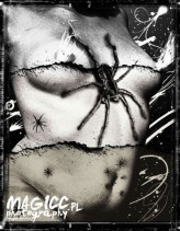 magiccx When you believe everything is finished... 

Now this is not the end. 

It is not even the beginning of the end...

pajączki: http://stock-by-kai.deviantart.com/art/Spiders-66696672?q=boost%3Apopular%20in%3Aresources%2Fstockart%20spider&qo=15