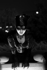 AndrzejBiernacki                             Catwoman wg Agnieszki            