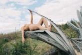 Pasjafotografi