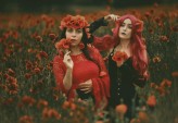 Konto usunięte                             Poppy red love

head flowers: my lovely Madeleine <3            