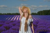 Kerigan Lavender field
