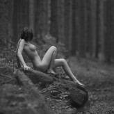 robert_lubanski forest nymph