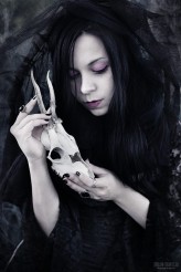 ladyhypnotica witchcraft

Photo:https://www.facebook.com/DreamTravelerArts?fref=ts
Stylization: me &amp; Wojciech Zwoliński