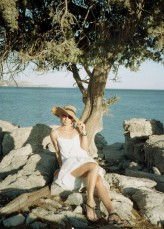 piterson40                             Analog scan            