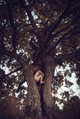 MioFallen Day and night, tree stories