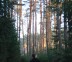 Matieusz