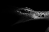 zbyszko111 Bodyscape