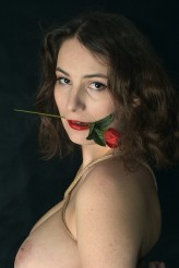 Rita_Rose Róża
