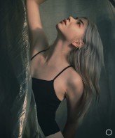 bluevelvet                             fot. Dorota Bulińska            