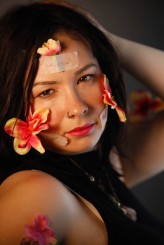 DiabrelleQuenteenOfJansie by Robert M