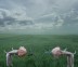 fotofish