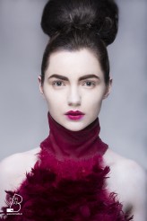 magic_boulevard Make up/stylish: Tosia Skorupa
Model: Karolina Podolak
Foto: Barbara Lutzner

Suknienkę wykonałam sama z tysięcy pojedyńczych piór, inspiracja -&gt; Alekander Mcqeen. &lt;3