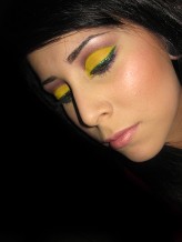 makeup2009