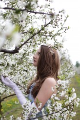 RutkowskaFoto Sesja w kwitnącym sadzie