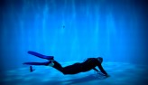 freestylefoto Freediving