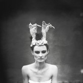 wytwornia_miodu                             modelka: Kinga H.
make-up & stylist: Karina Czapla http://www.tendere.pl
Wykonane podaczas Warsztatów fotografii artystycznej WHITE ALICE
            