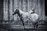 v_desire Fotograf: Marek Kruk 
Sukienka: Lady In White Studio Art
Plener Lilithum V
©2024