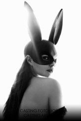 profoto