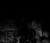 The_FotoSutra