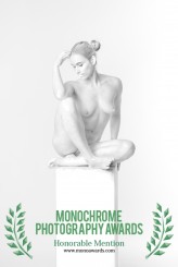 MariuszWroblewski Wyróżnienie w konkursie:
Monochrome Awards 2020

https://monoawards.com/winners-gallery/monochrome-awards-2020/professional/nude/hm/12848