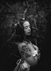 Dalia_Asma