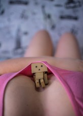 Danbo            