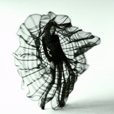 Lisia                             Fotograf Piotr Werner            