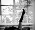 PSPhoto7