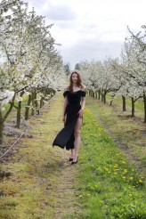 RutkowskaFoto Wiosenna sesja w kwitnącym sadzie