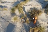 AMBITN4 Plaża w Kijkduin Nederland