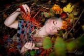 red_ines sleeping autumn...