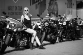morphinex                             Freedom on Tour @Liberator Harley-Davidson Warszawa
Photo: Www.t-jack.pl             