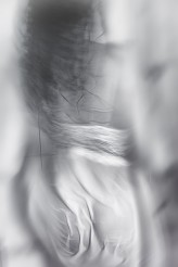 CameraLnieFoto