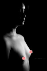 korona-pl www.patreon.com/jkorona