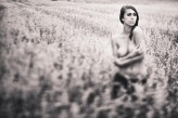 jaras72 freelensing