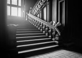 maggiespar Dreaming on stairs 

Fot Radek von Hirschberg
Hair Piotr Rybarczyk

Plener Bożków Moniki Bojsan