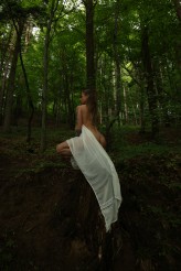 mixer2                             Moje ulubione klimaty, las i krzaki ;)            