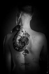 MagdalenaBlachuta sesja męska studyjna z wężem z pytonem portret męski akt męski nagość męska sesja męska studio