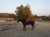 Sandrula93 Uprawiam jeździectwo, więc sesje z konikiem również wchodzi w grę. :)