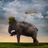 annaborowa STOCK:

background, elephant, clouds : www.sxc.hu

hat, ladder, boat - :iconjinxmim:  The best STOCK!!!!