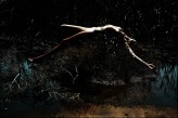 SergiiPhotoArt