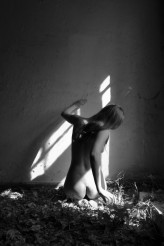 anelim_88                             07.06.2015            